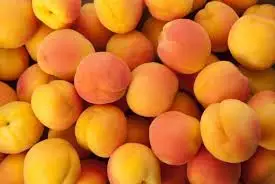 مشمش