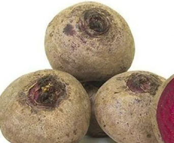 شمندر الكيلو